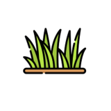 grass